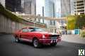 Photo ford mustang Fastback Réplique GT350