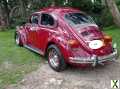 Photo volkswagen beetle Escarabajo