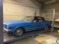 Photo ford mustang V8 289