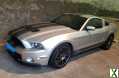 Photo ford mustang GT500 Shelby 2012 v8 5.4L