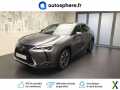 Photo lexus autres 250h 2WD Premium Edition MY21