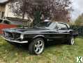 Photo ford mustang 1967 FORD COUPE V8