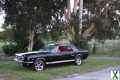 Photo ford mustang V8