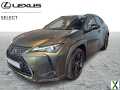 Photo lexus ux 250h Black Line