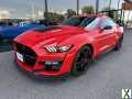 Photo ford mustang Shelby GT500 - Malus Payé