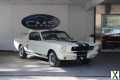 Photo ford mustang FASTBACK SHELBY GT 350 GT350