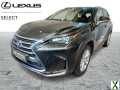 Photo lexus nx 300h Executive Line