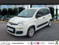 Photo fiat panda 1.2 8V 69 ch Pop