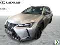 Photo lexus ux 250h Black Line