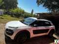 Photo citroen c4 cactus SOCIETE+BLUEHDI+100+BVM+FEEL+BUSINESS