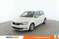 Photo skoda fabia 1.4 TDI Green Tec Ambition 90 ch