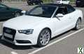 Photo audi a5 A5 Cabriolet 2.0 TDI 177Avus Multitronic 8 A