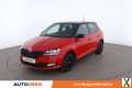 Photo skoda fabia 1.0 TSI Monte Carlo 95 ch