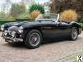 Photo austin-healey 100 -4 BN2 Kit Le Mans