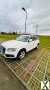 Photo audi q5 2.0 TDI quattro luxe S tronic