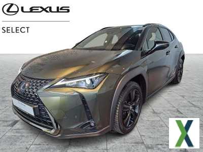 Photo lexus ux 250h Black Line