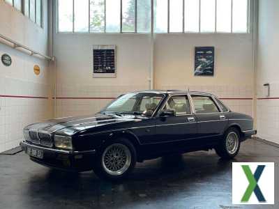 Photo daimler double six XJ81