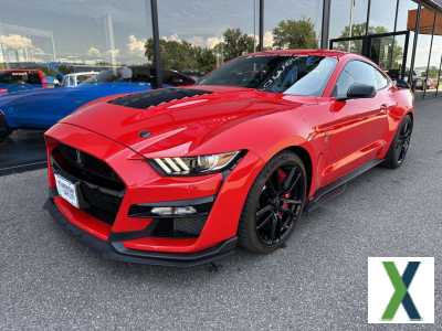 Photo ford mustang Shelby GT500 - Malus Payé