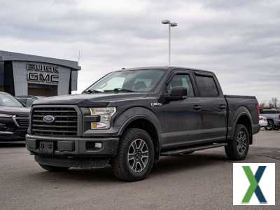 Photo ford f 150 46.900 TTC E85 V8 FLEX FUEL F 150 2016